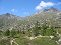 IMG_2794