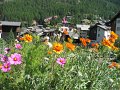 IMG_2838