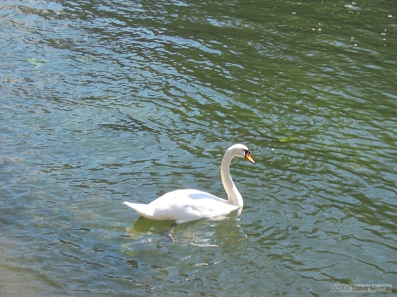 IMG_3135.JPG