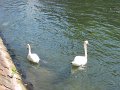 IMG_3133
