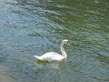 IMG_3135