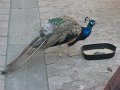IMG_3157