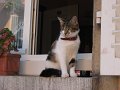 IMG_3192