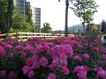 IMG_3200