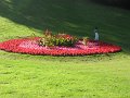 IMG_3313