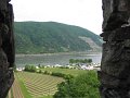 IMG_1428