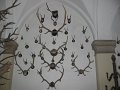 IMG_1445