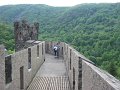 IMG_1456