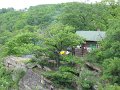 IMG_1528