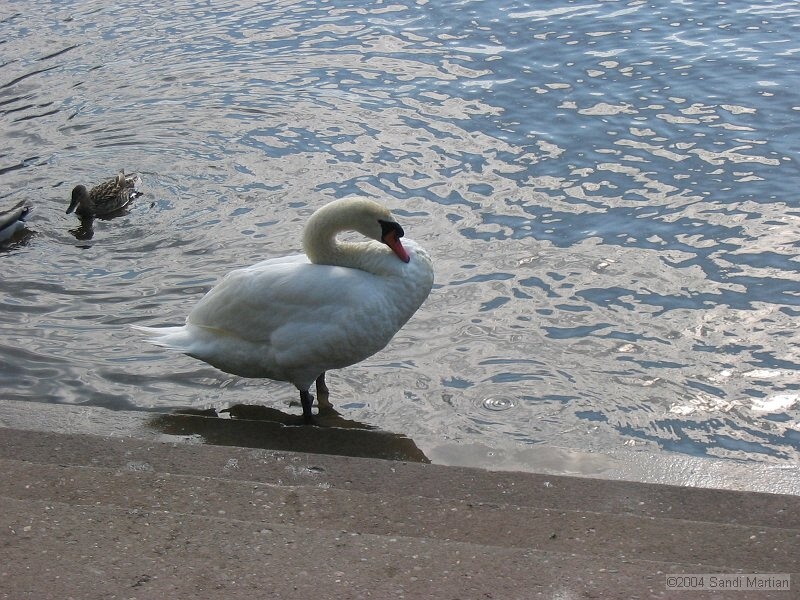 IMG_1617.JPG