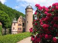 IMG_1589