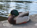 IMG_1614