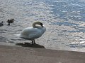 IMG_1617