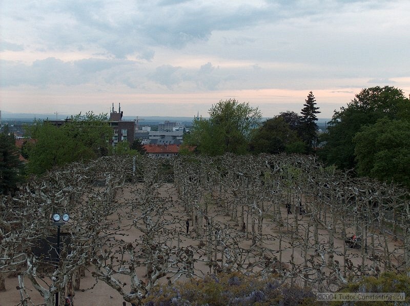 HPIM3167.JPG