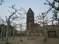 IMG_7436