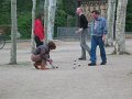 IMG_7437