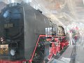 IMG_7890