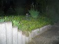 IMG_8103