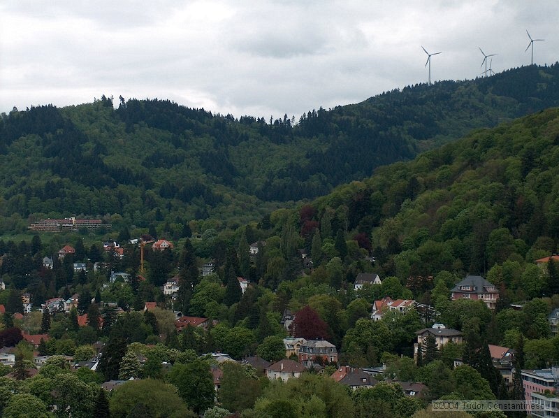 HPIM2913.JPG