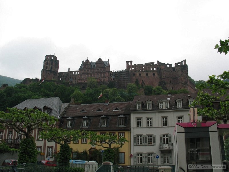 IMG_7835.JPG