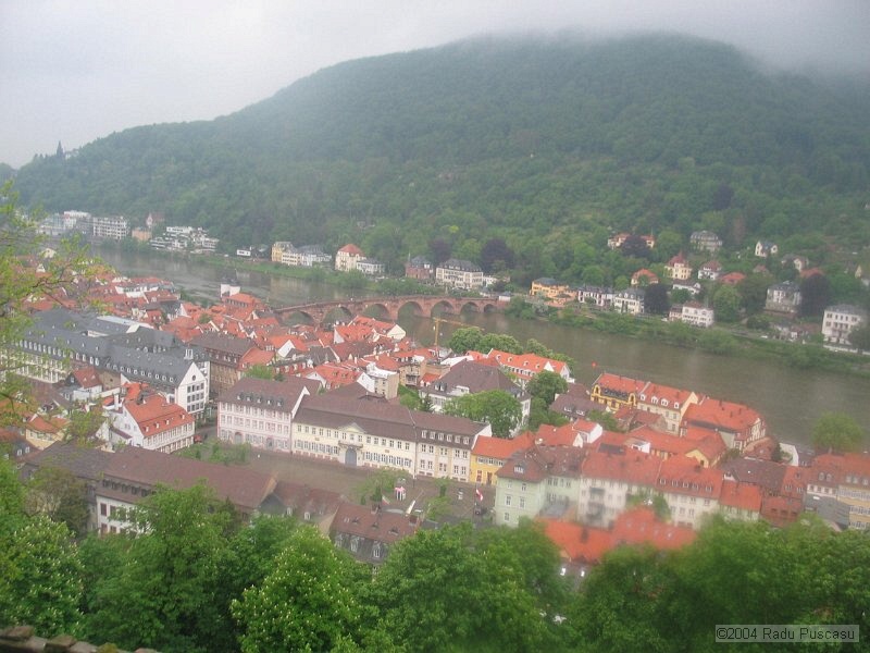 IMG_7842.JPG