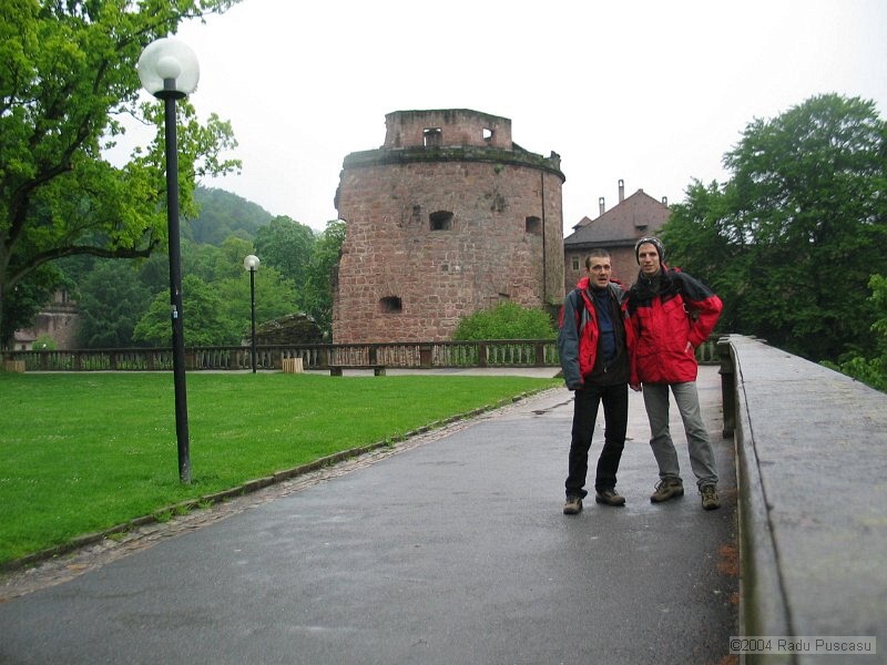 IMG_7855.JPG