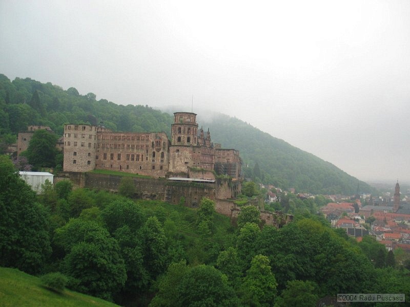 IMG_7857.JPG