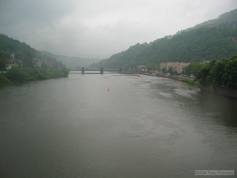 IMG_7869.JPG