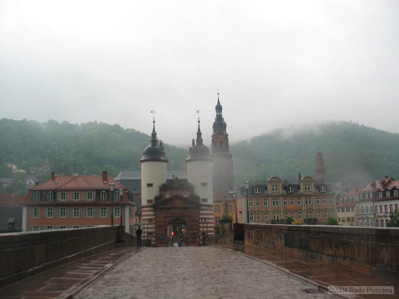 IMG_7870.JPG