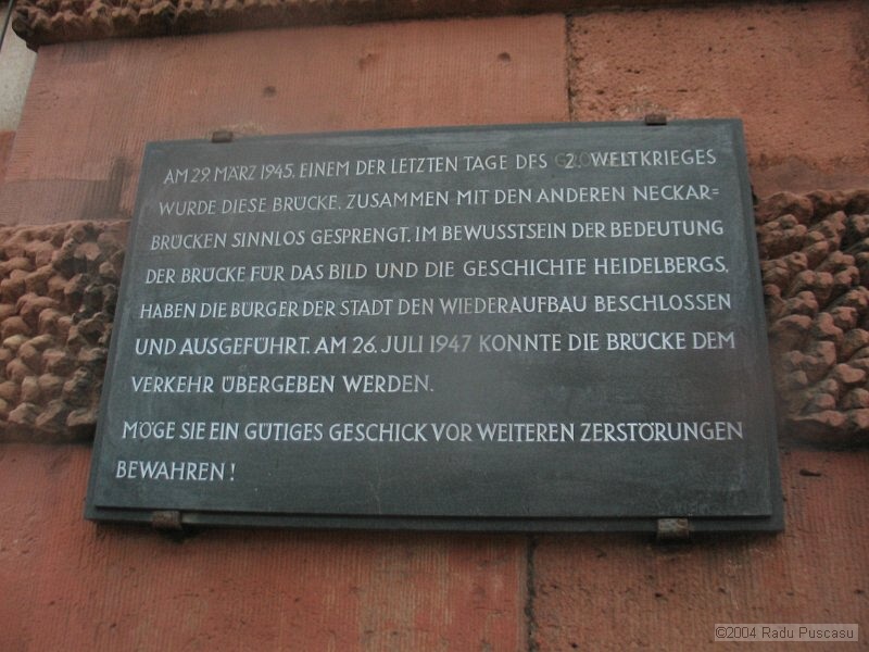 IMG_7871.JPG