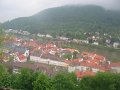 IMG_7842
