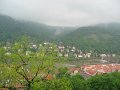 IMG_7845