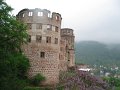 IMG_7854
