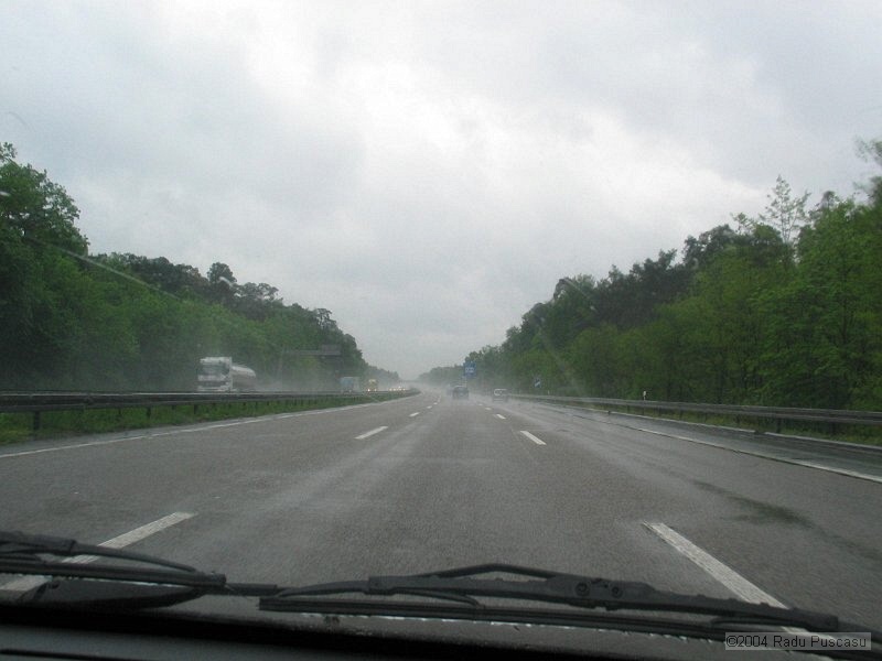 IMG_7496.JPG