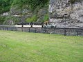IMG_1253