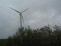 IMG_7507