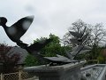 IMG_7591
