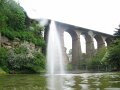 IMG_7595