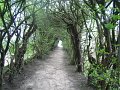 IMG_7672