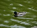 IMG_7807