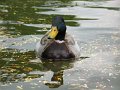 IMG_7817