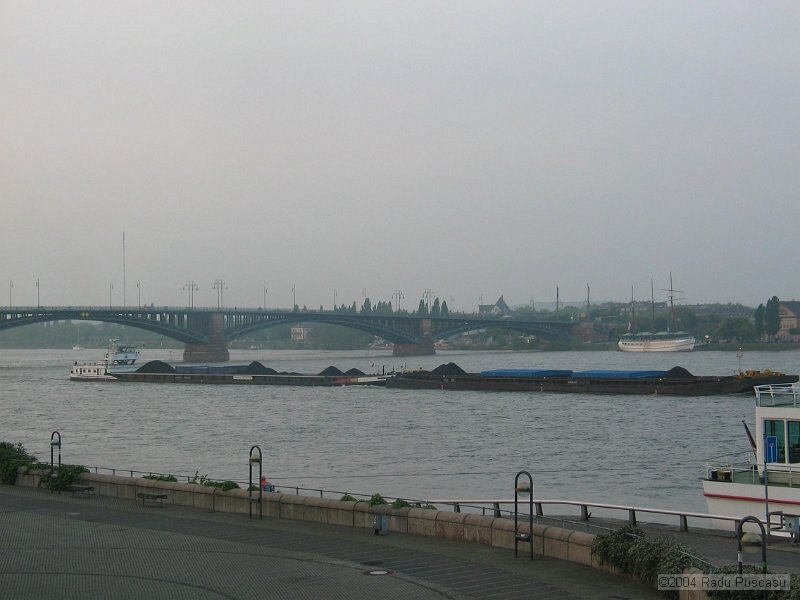 IMG_8087.JPG