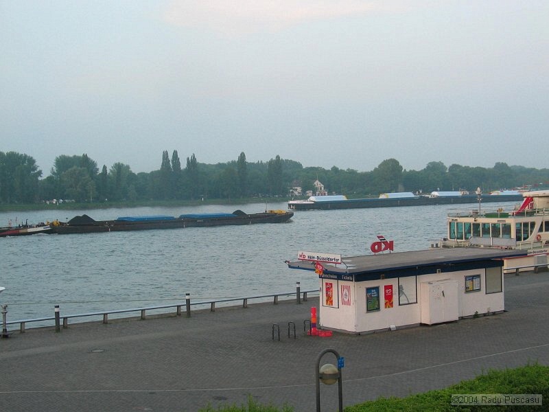 IMG_8089.JPG