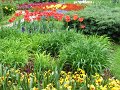 IMG_0380