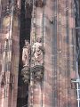 IMG_1172
