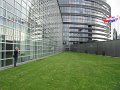 IMG_1210