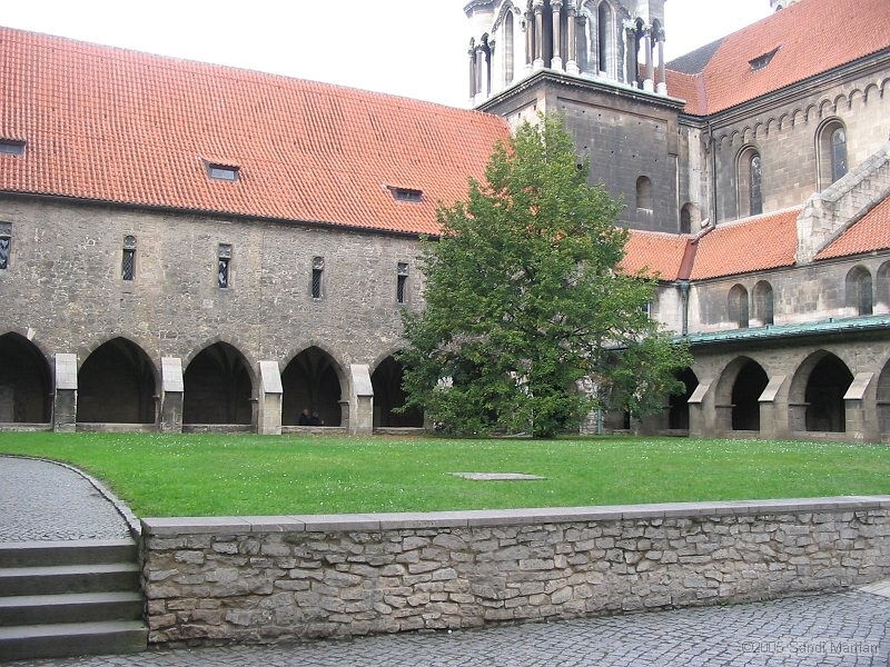 IMG_7252.JPG