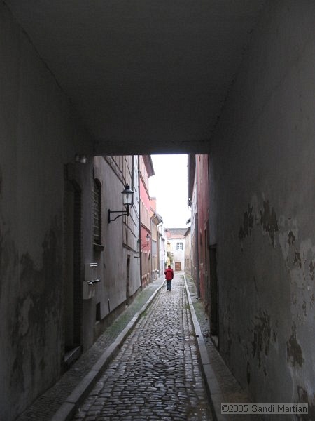 IMG_7271.JPG