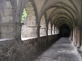 IMG_7255
