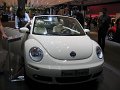 IMG_6910